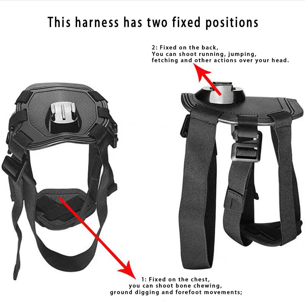 Haustier-Kamera-Geschirrhalter – Drone Camera Action Bewertung und Preis